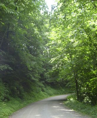 Mouth of Wilson - Round House Road
One of the many dirt roads which still dot the Grayson County countryside.  Photo by Jeff Weaver, June 8, 2007.
