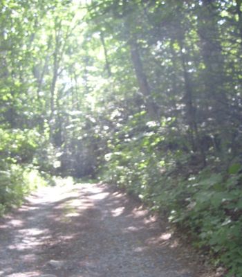 Rocky Hollow - Hemlock Lane
Wonder what is at the end of this lane?  Photo by Jeff Weaver, June 8, 2007.
