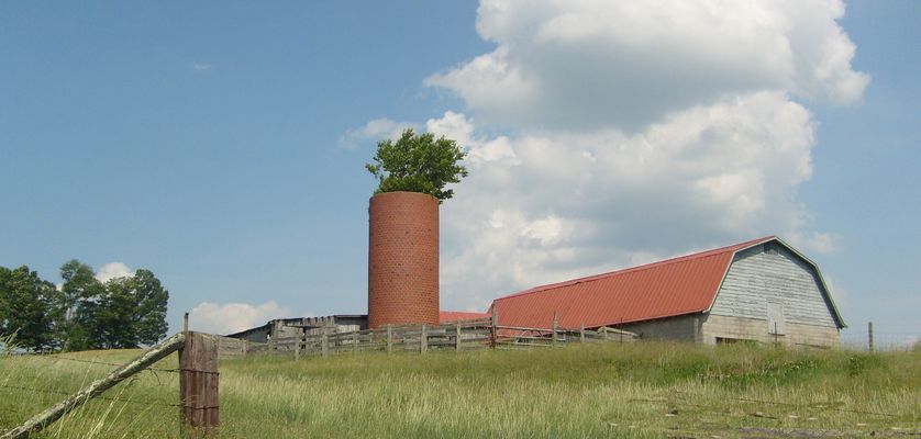 Rocky Hollow - Barn and Silo
Once common, many are in disrepair.  Note the tree growing out of the silo.  Photo by Jeff Weaver, June 8, 2007.
