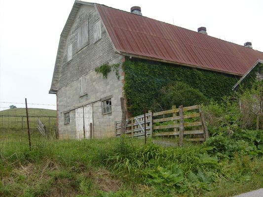 Chilhowie - Barn on Lyons Gap Road
Photo by Jeff Weaver, June 11, 2007.
