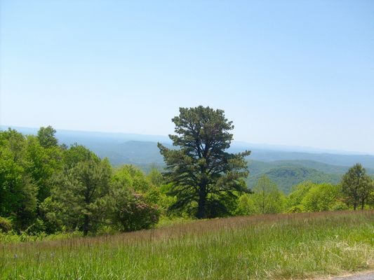 Mahogany Rock - Overlook View
[url=http://www.virtualblueridge.com/parkway_tour/overlooks/00235.asp]Click here for an interesting video taken at Mahogany Rock[/url] Photo by Jeff Weaver, May 20, 2007.
