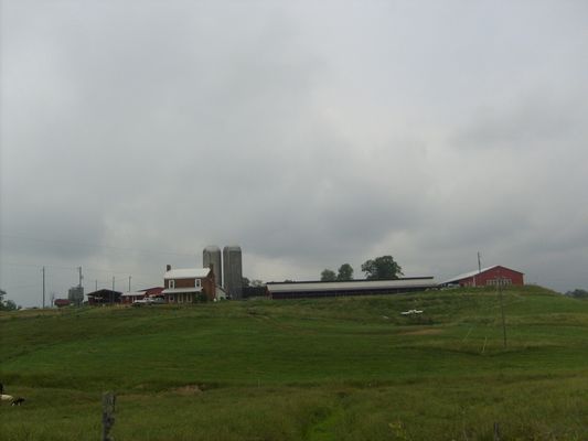 Mouth of Wilson - Phipps Dairy Farm
Photo by Jeff Weaver, June 2007.
