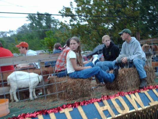 pics 138.jpg
This is the Chilhowie Future Farmers of America float in the Apple Festival Parade.
