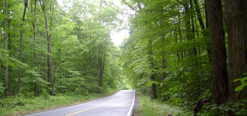 Konnarock - The Road Less Travelled
This is Fairwood Road between Konnarock and Troutdale.  It has been designated a Virginia Scenia byway.  Photo by Jeff Weaver, June 3, 2007.
