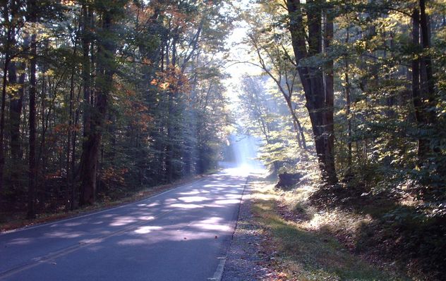 pics 151.jpg
This is a shot of Fairwood Road on September 27, 2006 by Jeff Weaver.
