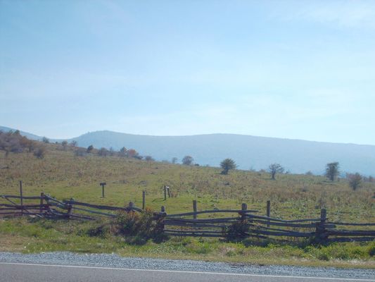 pics 192.jpg
This is a photo of Mount Rogers taken from Elk Garden on October 4, 2006 by Jeff Weaver.
