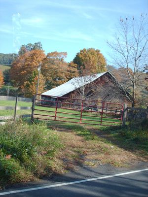 pics 198.jpg
Photo October 4, 2006 by Jeff Weaver.  This photo shows one of the barns on the old Perkins Plantation on Helton Creek.
