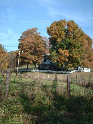 pics 200.jpg
Photo October 4, 2006 by Jeff Weaver.  This pic shows the home of Miss Alta Perkins on the one time Johnson Perkins plantation on Helton Creek.
