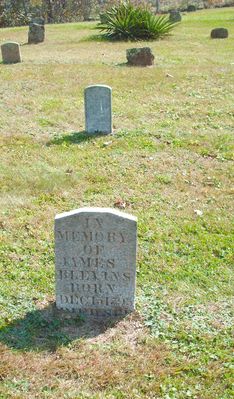 pics 202.jpg
This is the grave marker for James Blevins.  Photo October 4, 2006 by Jeff Weaver.
