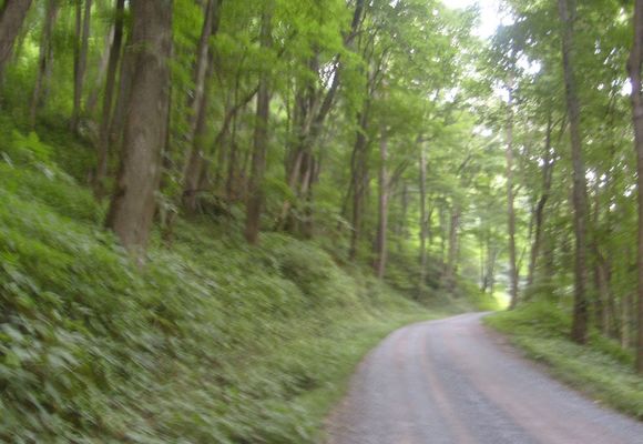 Tumbling Creek - Road to the Lake
This road lies in the old railroad bed which led to the top of Clinch Mountain.  There are numerous switchbacks.  It leads to Laurel Bed Lake at the top of Clinch Mountain.  Photo July 14, 2007 by Jeff Weaver.
