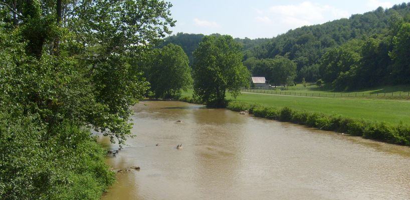 Weaver's Ford - Ducks in New River
New River is muddy after a heavy rain the day before.  The wood ducks on the river blend in well.  Photo July 18, 2007 by Jeff Weaver.
