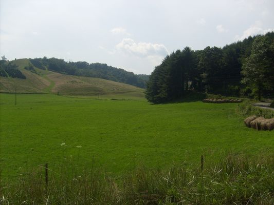 pics 299.jpg
This July 18, 2007 photo by Jeff Weaver shows the Billy Bottoms.  The Billy Bottoms were once part of the farm of William Phipps (1783-1870+) son of Benjamin Phipps and Jane Hash, and proginatory of most of the Phipps Family in Ashe County.
