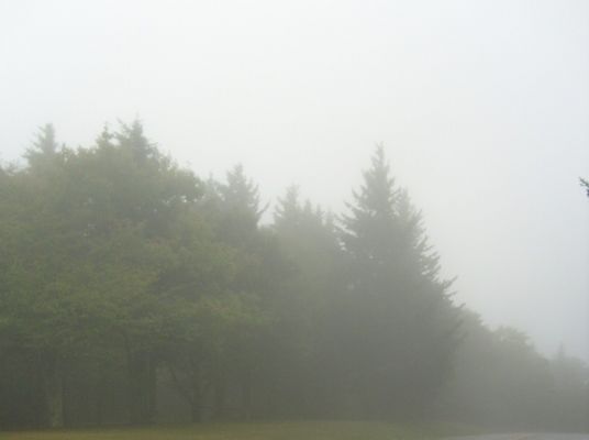 pics 423.jpg
This mid-September 2007 photo shows the fogs that often roll in on the heights of the Grayson Highlands.  Photo by Jeff Weaver.
