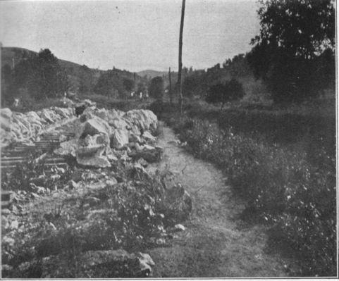 plasterco1.jpg
A view of the southwest end of the Saltville valley at Plasterco showing gypsum masses (white) mined by the Buena Vista Plaster and Mining Company.  Photo dates circa. 1905.
