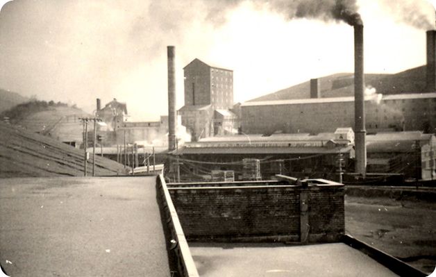 porterdryiceplant.jpg
This is a 1937-40 image of the one of the industrial facilities operated by Mathieson Alkali Works in Saltville.  Photo by John Porter, courtesy of Doug Ogle.
