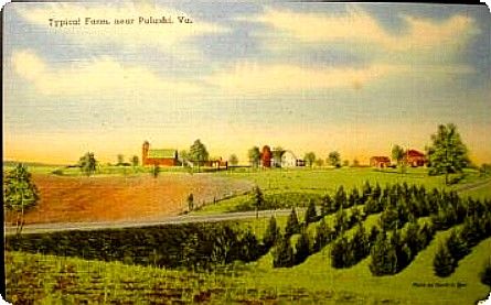 pulaskifarm.jpg
This 1930s postcard shows a "typical" farm.  
