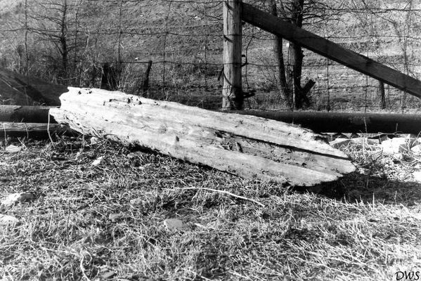 pumplog.jpg
HERE IS AN OLD PUMP LOG THAT MY COUSIN AND I DUG OUT OF A BOG NEAR THE SALT PARK IN 1965. THERE WERE MANY IN THE BOG AND ALL WERE SPLIT LIKE THE ONE SHOWN. MUST HAVE BEEN A DUMPING SPOT FOR OLD LOGS.   Courtesy of Don Smith [email]dsmith1043@comcast.net[/email]
