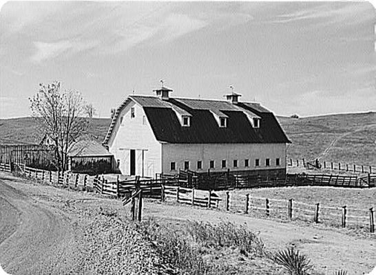 radfordbarn1940.jpg
This is an October 1941 photo of a barn near Radford in Montgomery County, VA.  From the files of the Library of Congress.
