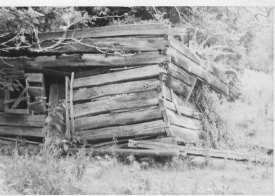 Reedy Cabin
This is a photo by Jeff Weaver of the ruins of the Reedy Cabin on Fees Ridge.  Photo July 1, 1978
