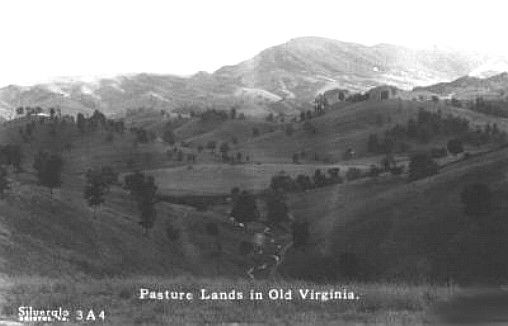 richlandspasture1937.jpg
This 1937 postcard shows some of the blue-grass pasture land available 70 years ago.
