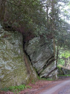 rock.jpg
This is an unusual rock formation.  Photo by Jeff Weaver, May 2005.
