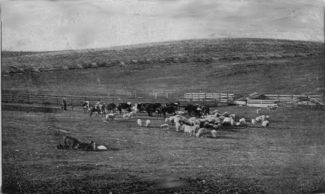 ruralretreat1908.jpg
This 1908 photo shows a "typical" farm scene in Wythe County at that time.
