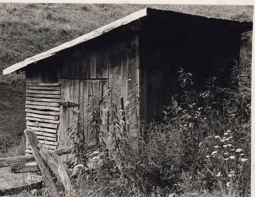 shedonspencerbranch.jpg
This shed was located on Spencer Branch road just across the Grayson county line from Helton in Ashe County, when this snapshot was taken in June 1978.  This construction design is fairly common in this part of Appalachia.
