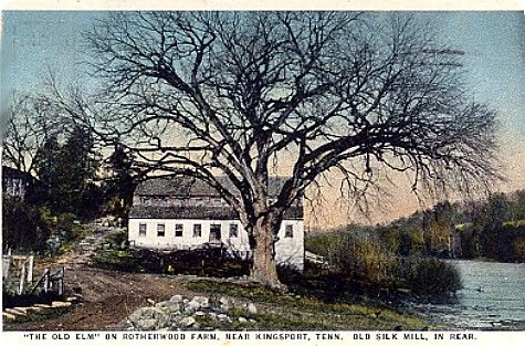 Kingsport - Rotherwood Farm
This 1940s postcard shows the "Old Elm" and the Silk Mill on the banks of the North Fork of the Holston River.

