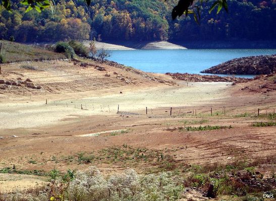 South Holston Lake - Snapp's Fence
IN NORMAL TIMES...THE FENCE CROSSING THE HOLLOW WAS A GOOD SPOT FOR CATCHING CRAPPIE. NOT NOW. Courtesy of Don Smith[email]dsmith1043@comcast.net[/email]

 
