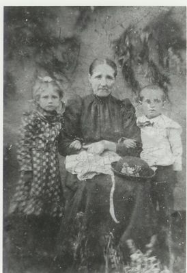 spencercynthoa.jpg
Cynthia Alice Osborne Spencer (c) with twins Blannie Emaline and John Blake.  This photo, made about 1903.  Courtesy of Eleanor Jo Cox [email]ejcox@naxs.com[/email]
