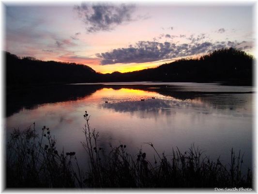 Saltville - Well Fields at Sunset
DUCKS ON THE POND, FEATURING HUEY, DEWEY AND LOUIE  /  SALTVILLE, VA.  /  JAN. 7, 2008.  Courtesy of Don Smith [email]dsmith1043@cmcast.net[/email]

 

