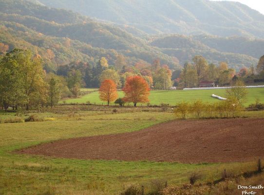 Tannersville - Pastoral Scene
Tannersville in October. Courtesy of Don Smith [email]dsmith1043@comcast.net[/email]
