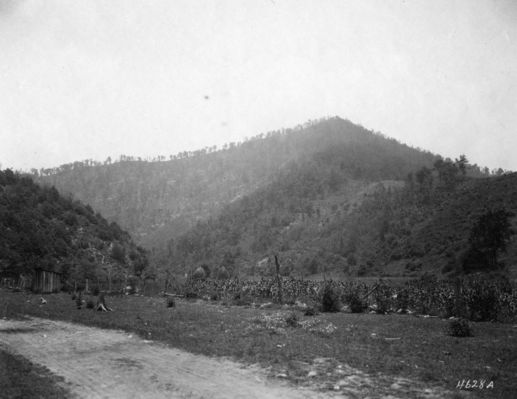 taylorsvalley.jpg
This scenic photo was taken in the early 20th century,
