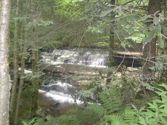 Saltville - Tumbling Creek Falls
This is another of the many water falls on Tumbling Creek, near Saltville, Virginia.  Photo July 15, 2007 by Jeff Weaver.
