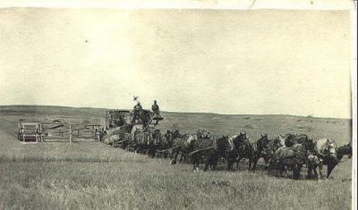 Threshing Wheat Early 20th Century
Keywords: Agriculture, Farming, Threshing, Wheat