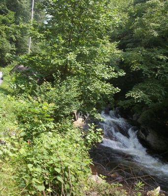 tumblingcreekfalls2.jpg
Located near Saltville, VA in Washington county, VA.  This photo by Jeff Weaver, summer 2003.
