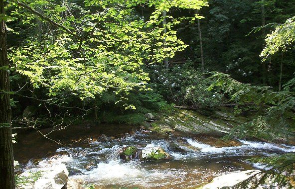 tumblingcreekfalls3.jpg
Located near Saltville, this photo by Jeff Weaver in the summer of 2003, shows the falls from above.
