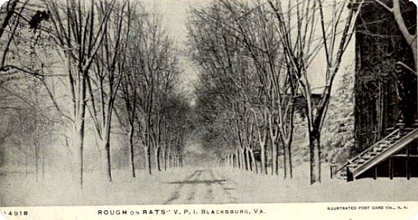 Blacksburg - Virginia Polytechnic Institute
This 1906 postcard shows a  snowy day on the VPI campus.
