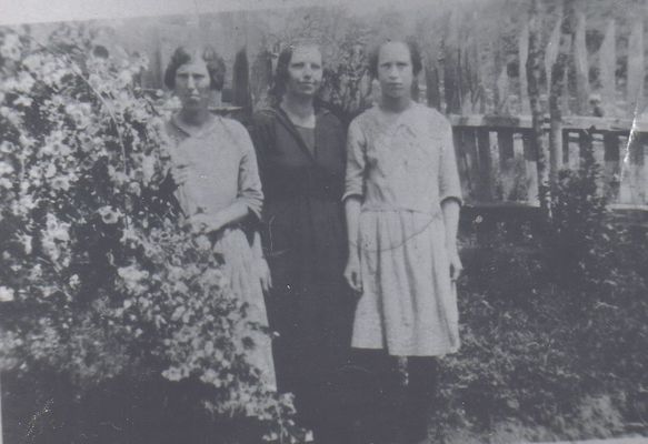 weaverflorence.jpg
These three girls are all daughters of Clayborn Monroe Weaver and Martha Litisha Phipps.  This photo was taken on Wolf Knob, but all three later moved to Smyth County, Virginia.
