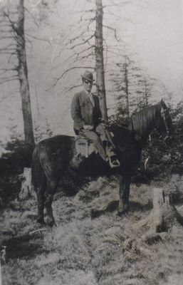 weaverray.jpg
This is Ray Weaver, son of Clayborn Monroe Weaver and Martha Litisha Phipps.  This photo was taken on Fees Ridge, but he later lived in Smyth County, Virginia and in Sophia, West Virginia.
