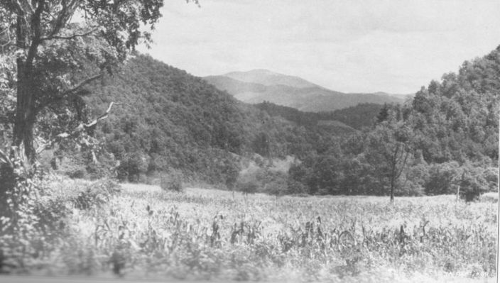 whitetop38.jpg
General view of Whitetop mountain.  Photo by the Virginia Department of Agriculture, 1938.
