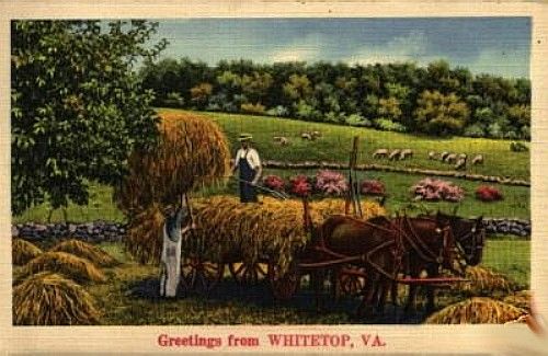 whitetopcard1940s.jpg
In the mid-20th century a number of fantasy postcards were issued.  This is one of them.
