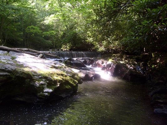 Konnarock - Whitetop Laurel Creek Falls
Photo July 4, 2007 by Jeff Weaver.  One must hike down a rather steep trail to reach a point for a good view of this falls.
