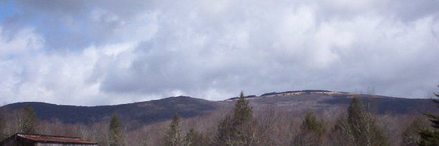 whitetopmtn.jpg
This view of Whitetop Mountain taken from Whitetop Village, spring 2003.
