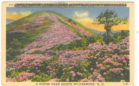 wilkesboroscene.jpg
This post card is from the linen era (1930-45)
