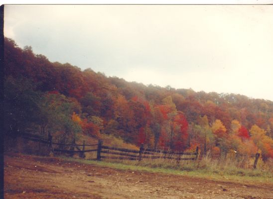 windfallfall.jpg
This fall view was taken from the top of the Windfall, Ashe County, NC in October 1980 by Jeff Weaver
