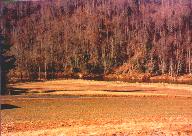 The North Fork of the New River near Weaver's Ford, Ashe County, North Carolina: 
View is looking west from the east bank of the river. The 13th Kentucky Cavalry (Confederate), led by Benjamin E. Caudill from Letcher County, Kentucky, camped in this bottom
