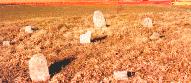 The William Weaver, Sr. Family Cemetery, looking west.
