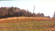 The William Weaver, Sr. Family Cemetery, looking east (wide angle shot).
